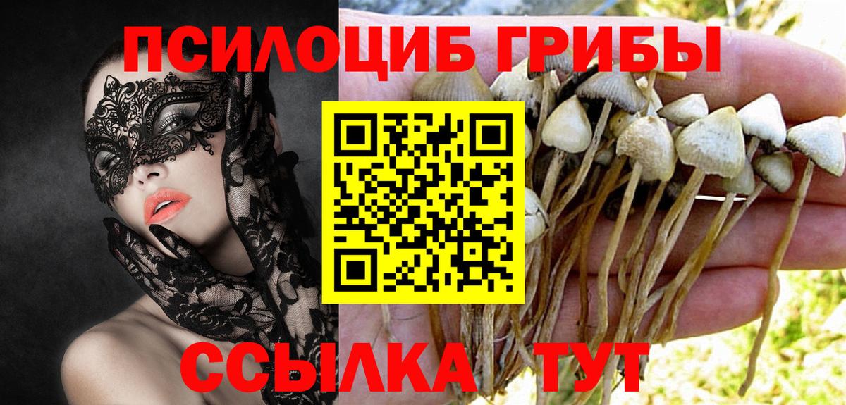 НБОМе  ГАШ  Alpha PVP СК   Мефедрон   МЕФ  Карабулак  Вход с VPN  ГАШИШ  МДМА 
