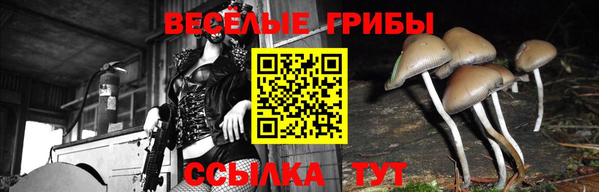 Псилоцибиновые грибы Psilocybine cubensis  Вход с VPN  Карабулак  Галлюциногенные грибы мицелий 